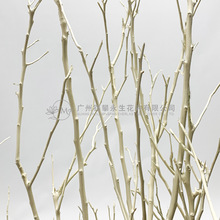 【白樹枝】真枝龍骨樹枝桔子樹剝皮枯樹桿店面櫥窗擺放裝飾白樹枝