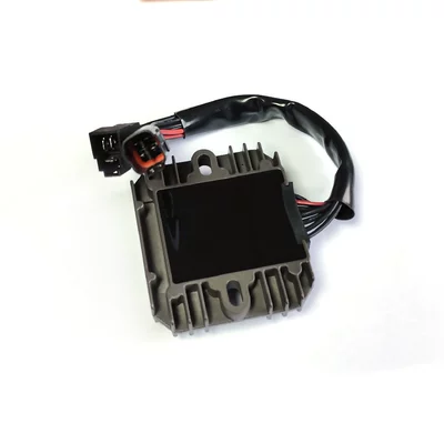 2006-2008 Rectifier, electronic regulator