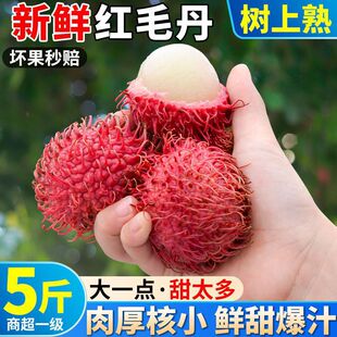 �M�ڼtë�����r�Ꭷ�ЋDˮ����ë����֦ë�����������l�؃r���]