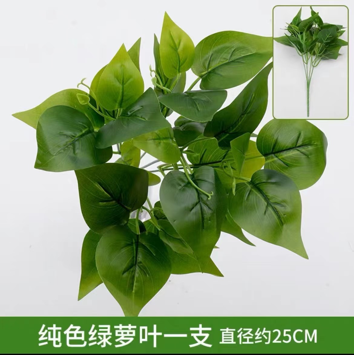 Solid color green radish leaves