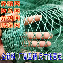 �Bֳ�W���@���B�W��W�����B�u�W�ˈ@���ھW�����Wֲ�����پW����