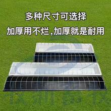 ι���Z���ϲ�ʳ���ˮ�ۼ����Bֳ������L���δ�̖�Ӻ��¿�ò�