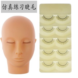 ���l�޽ӷNֲ������ë���֌W���̌W���Ϲ��߆θ��δؾ����ٽ�ë