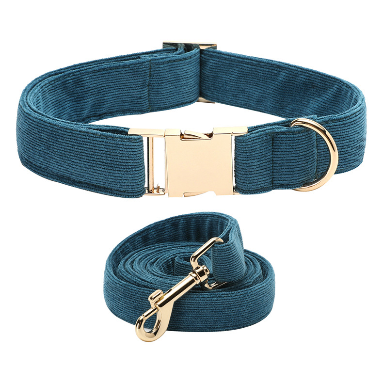 칼라 개 체인 (세트)