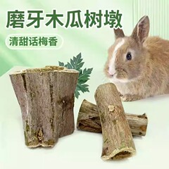 うさぎのおもちゃ、歯ぎしり用木製パパイヤ台、チンチラ、モルモットの噛むおもちゃ、歯ぎしり棒、うさぎの歯ぎしり用乾燥パパイヤ台