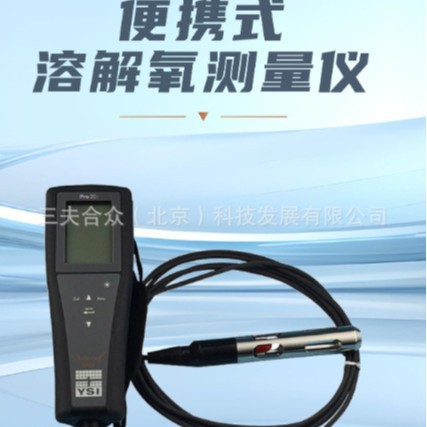 美国YSI便携式溶氧仪 pro20i便携式溶氧仪,YSI pro20i溶氧仪