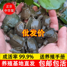 100ֻС~lBֳ~F~ˮ~AM~