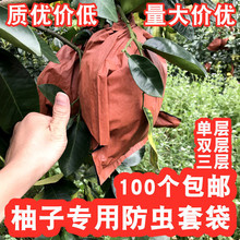 沙田柚柚子套袋蜜柚套袋加厚早熟套袋防水防鳥防蟲袋子水果保護袋