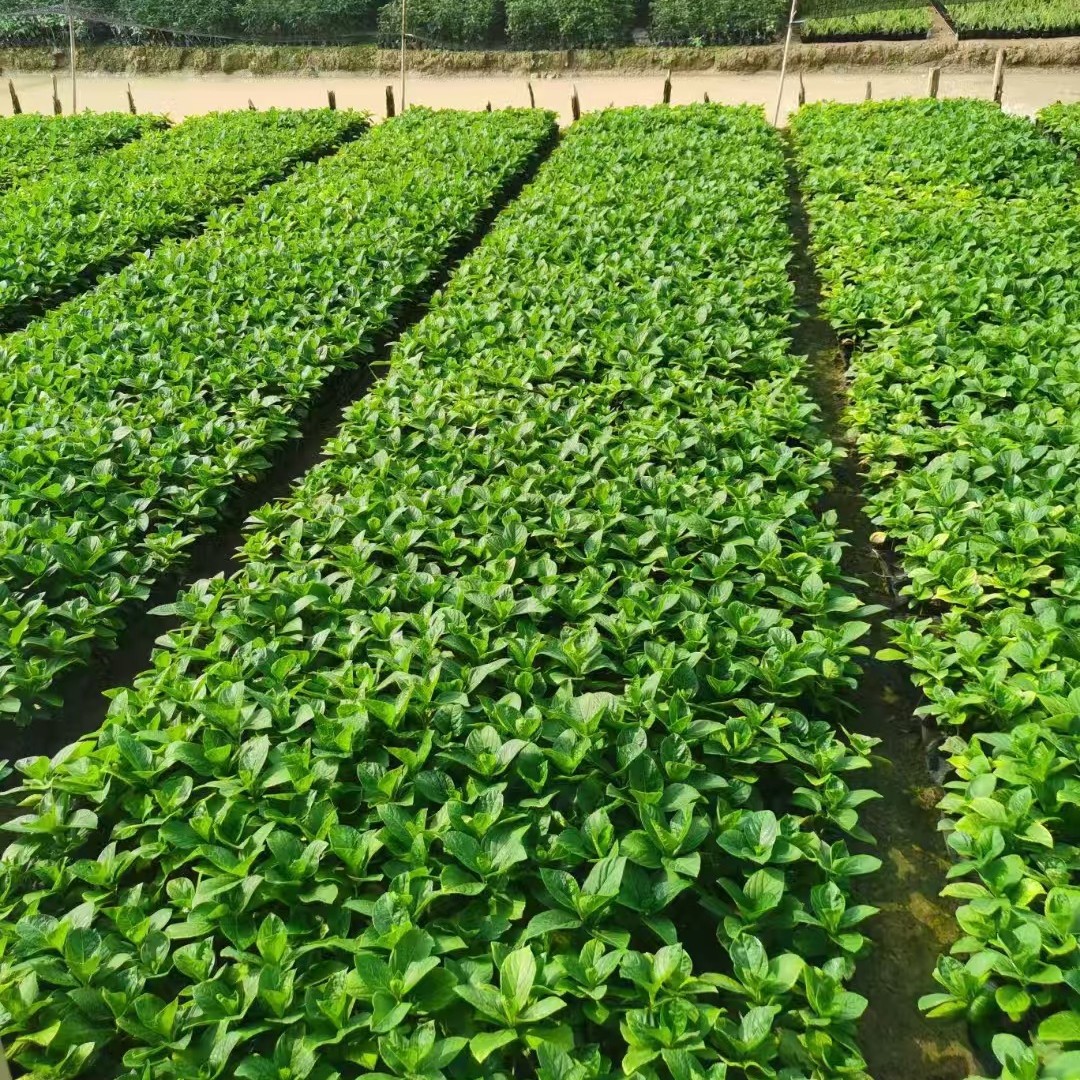 2025-03-06 18:06:09.jpg