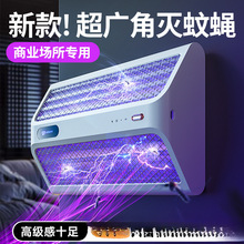 2025�¿�����������ß������҃������������s�������ǳ��