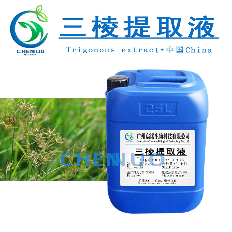 供应 三棱提取液 原植提取物 单方水提液  三棱提取物 萃取液原料