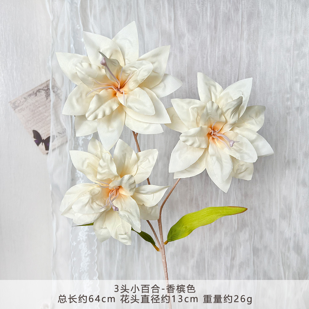 ZZ-3头小百合-香槟