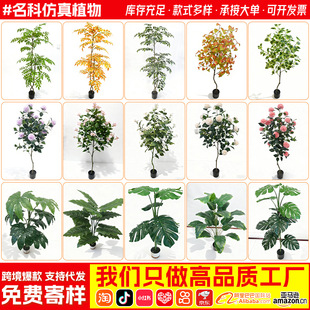 ����Gֲ��֦��ֲ����������҃��b�ֲ��廨�~���쾰�ٻ���ľ