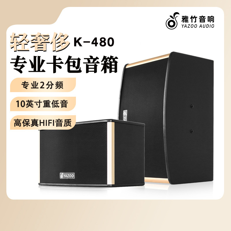 Venta al por mayor personalizado 10 pulgadas titular de la tarjeta profesional altavoz karaoke al aire libre transmisión en vivo Cine en Casa KTV equipo de audio traje