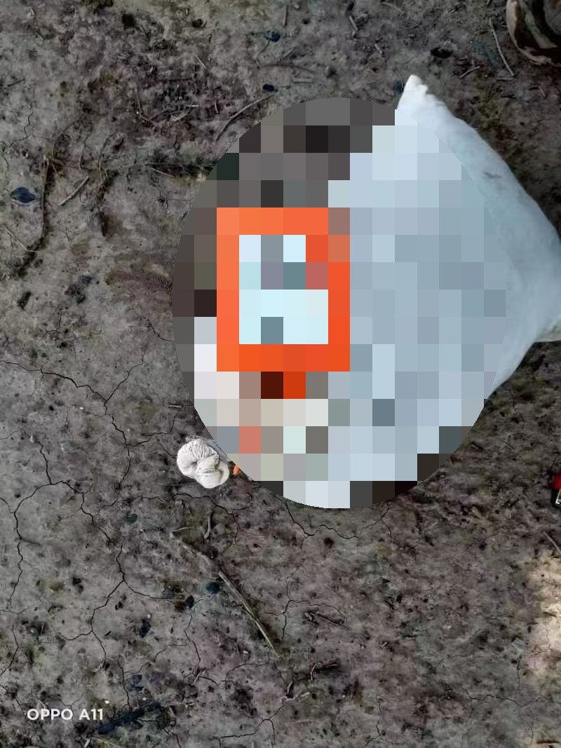 土壤普查外业采样袋标签板吊牌标签粘贴板版PVC方牌红黄绿蓝