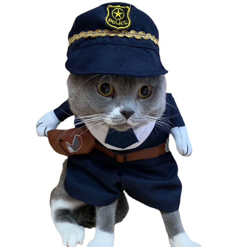 Primavera y Otoño ropa de gato para mascotas lindo divertido ropa de perro gato divertido ropa de pie-traje de transformación tridimensional