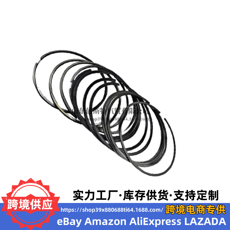 23040-2F930 is suitable for Hyundai Kia engine piston ring 23040 2F930 230402F930