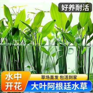 ˮ��ֲ���~���쾰����͢�ʹ���݃���ˮ�|�ŷ��B�~�������˾Ź�