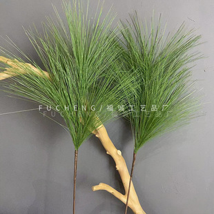 ����Gֲ�Rβ���Aɽ�ɻ�c�����Ĕz�bGֲ��Y��ܛ�b���Q����