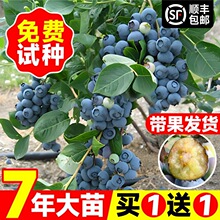 {ݮϷ̨Nֲ籱ͥԺͺԹ{ݮ