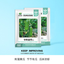 пïAпsSϷNӴﺵSϷNȫƹй