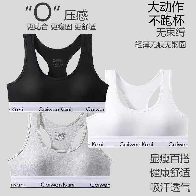 Cross-Border Japanese-Style Women's Bra Set, Push-Up, Wireless, Sexy Triangle Panties for Young Women