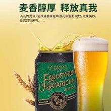 【啤酒】杨子啤酒精酿高浓度苦荞麦啤酒易拉罐装扬子苦荞酒