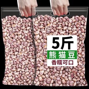 ��؛��؈������r���Ԯa���r�С��ܿ�����l�¶�؈�۶��׶��ּZ