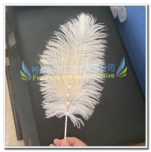 �S�ҬF؛�N����ë�����������b��r�Bë��ȸë���鵰��決�ە�