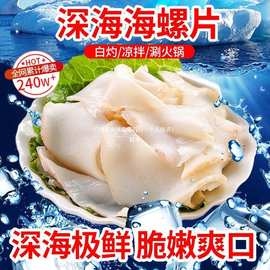 原味海螺片新鲜冷冻海鲜寿司料理海螺肉大海螺黄螺响螺片香螺火锅