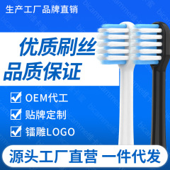ローマン電動歯ブラシヘッドT3/T5/t 6/t 10s/t 20/E7/s 3/p 6/l 11小ヘッドブラシに対応してv 5を交換する