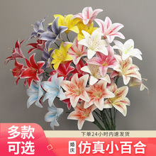 ���^С�ٺϷ��滨3D�z���ٺϻ�Y�ò����bҾӔ[�O�ٻ����Q�羳