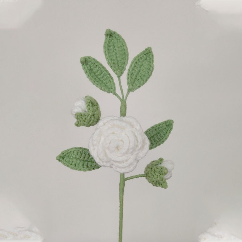 Producto terminado-Camellia White