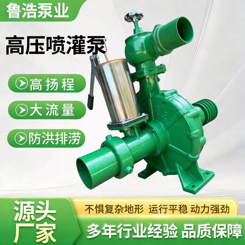 High-Pressure Water Pump for Deep Well Water Extraction, High-Pressure Water Pump for Large Flow Orchard Spray Irrigation, High-Pressure Self-Priming Water Pump High-Pressure Water Pump for Deep Well Water Extraction, High-Pressure Water Pump for Large Flow Orchard Spray Irrigation, High-Pressure Self-Priming Water Pump