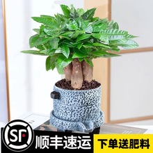 �lؔ������ֲ���҃ȿ͏d�GֲС�辰�ļ������k���Һ��BС���Ի���