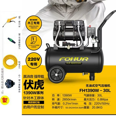 Hava kompressorları, Air Pump Oil-Free - fh30l-1390w