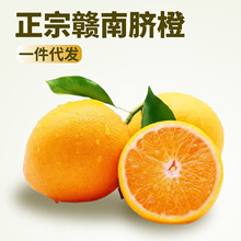 正宗江西赣南脐橙代发大果新鲜当季时令孕妇水果甜橙果王产地直发