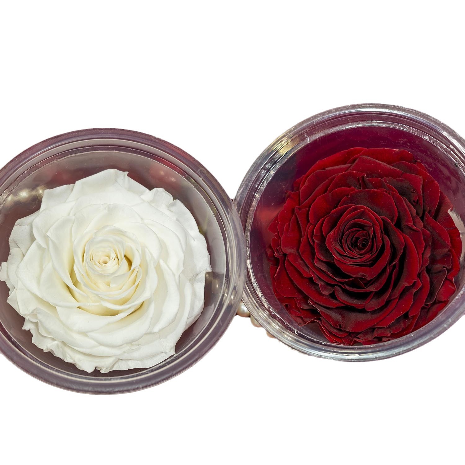 Yunnan Kunming Yongsheng Flor al por mayor 9-10cmA hecho a mano DIY flores regalos de Navidad con flores y flores