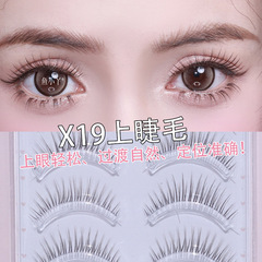 魚の小さい女の子x 19の上でまつげの5対は韓系の白湯の化粧の偽のすっぴんの優しい漫画の目の透明感のまつげを詰めます。