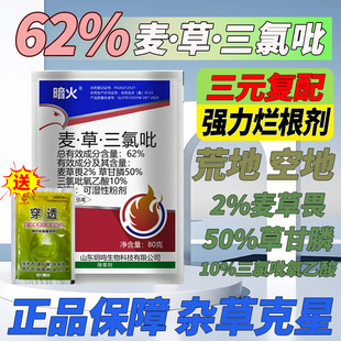 ����������62�ߺ�����������Ʒ���݄������s���JȔ���ݠ����ݸ��