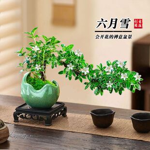 ����ѩ��߅�����h֦���ͺ��մɻ����Ϙ����Ԅ���Gֲֲ���҃Ȼ���