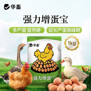 �A����������������u���Z�a�����J���u���Ӵߵ������Ƶ��|