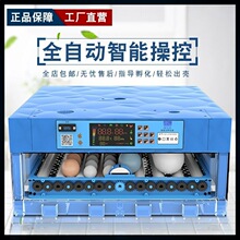 �������u�������C�ԄӼ����ͷ�����С������С�u������羳