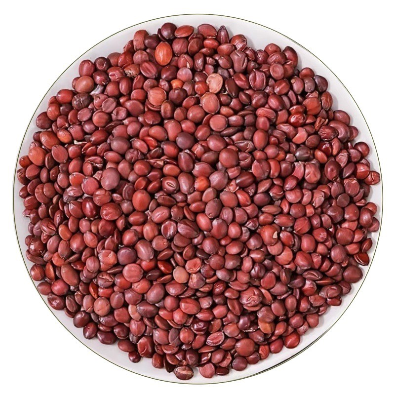 Suan Zao Ren (Ziziphus jujuba var. spinosa) — Dried Wild Jujube Seed for Tea & Soup in use