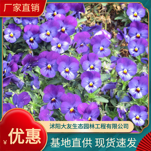 ���� ��ɫ���Ԯa���N���������ݻ���� ��ɫȫ ����ă�