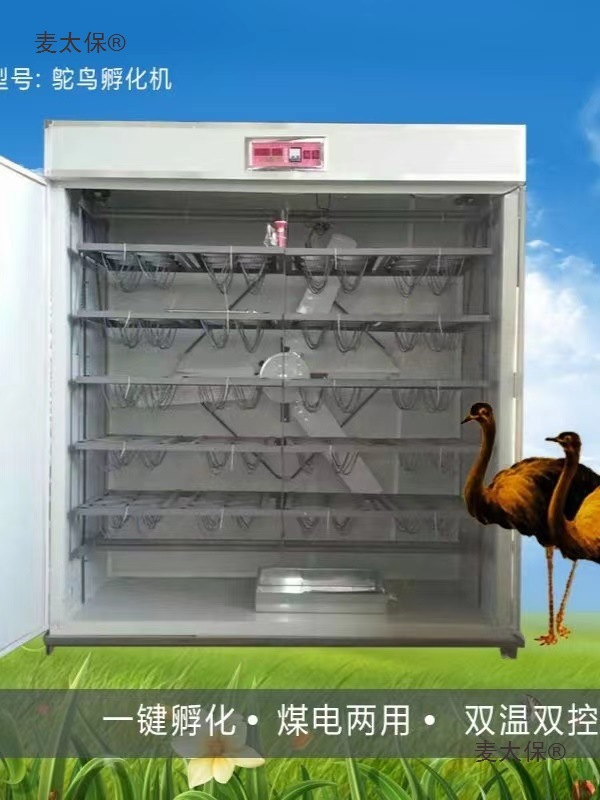 全自动鸸鹋孵化箱鸵鸟蛋孵化设备澳洲孵蛋器孵化器鸵鸟智能麦太保
