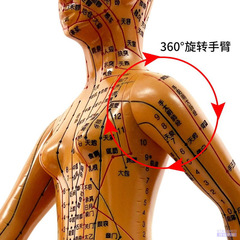 Acupuncture meridian point human body model, small bronze man male and female models, traditional Chinese medicine acupuncture teaching foot sole hand ear models