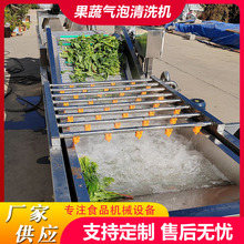 工厂用果蔬气泡清洗机流水线雪菜气泡清洗机设备梅菜翻浪清洗机