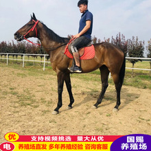 ��̨�T���RӖ�õ��R�^�pӰҕ���R���^���U�Rƥ�������㰫�R