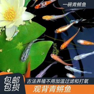 �^�����F�~С����ˮ�^�p�~�ѷ�ֳ�ŷ��Bֳ���BƤ�����������Ӝ؏S